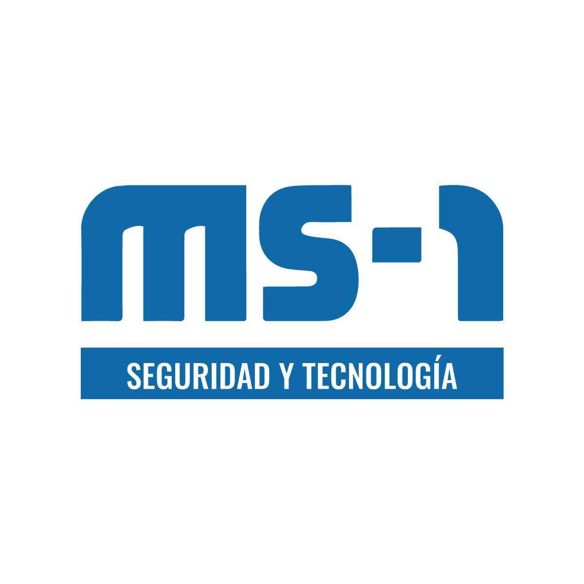 MS1 Seguridad y Tecnologia